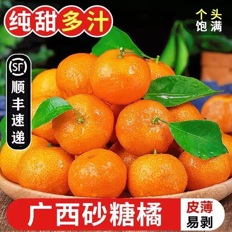 正宗广西新鲜橘子金秋砂糖薄皮现摘沙糖桔当季水果无籽整箱批