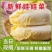 精品娃娃菜，大娃娃菜，小娃娃菜。二毛菜