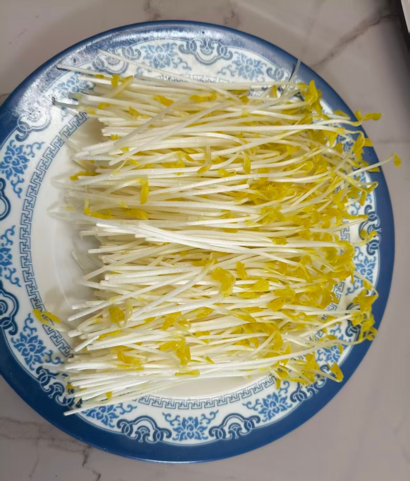 贵州山泉水绿豆芽