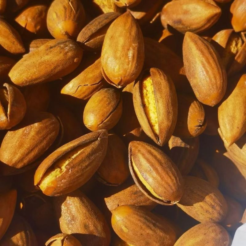香榧坚果榧子常年大量供应，品质保证，对接电商市场批发商