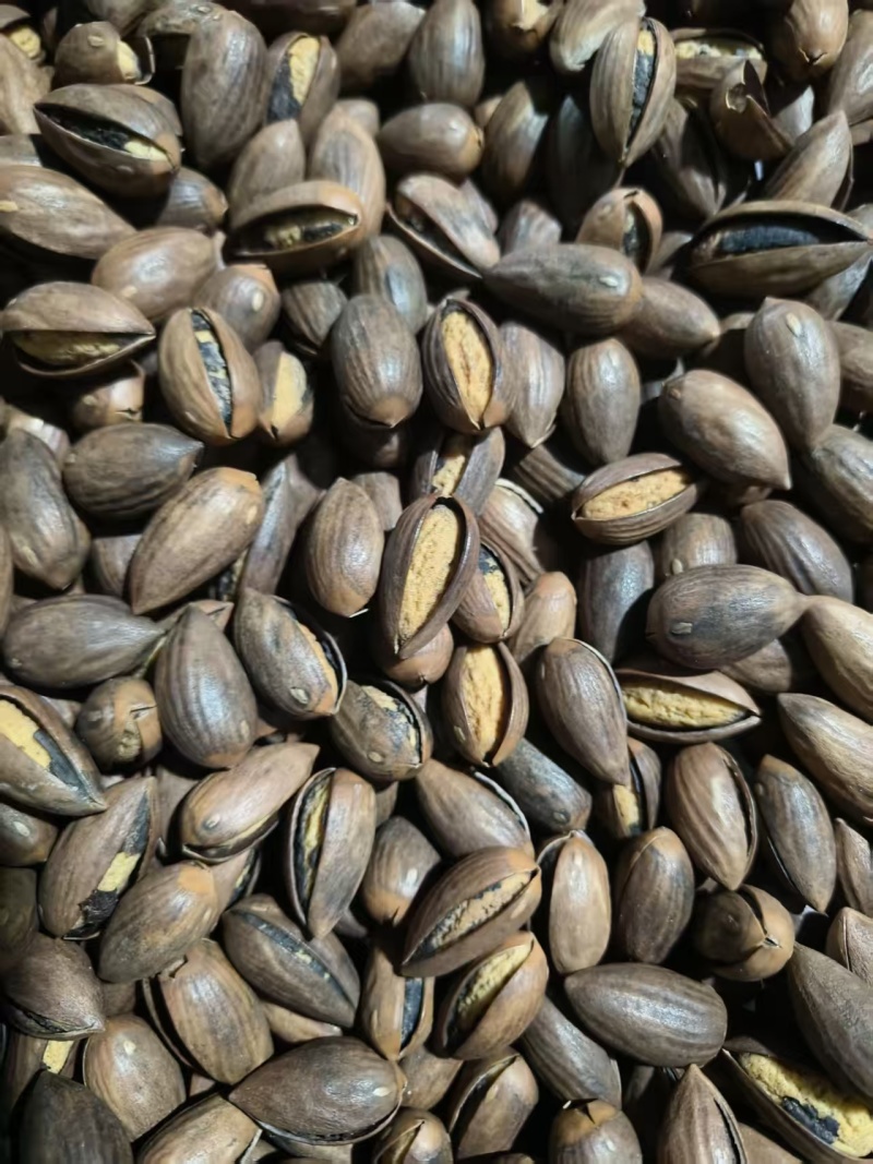 香榧坚果榧子常年大量供应，品质保证，对接电商市场批发商
