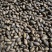 香榧坚果榧子常年大量供应，品质保证，对接电商市场批发商
