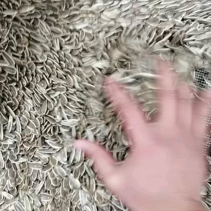 原味熟瓜子