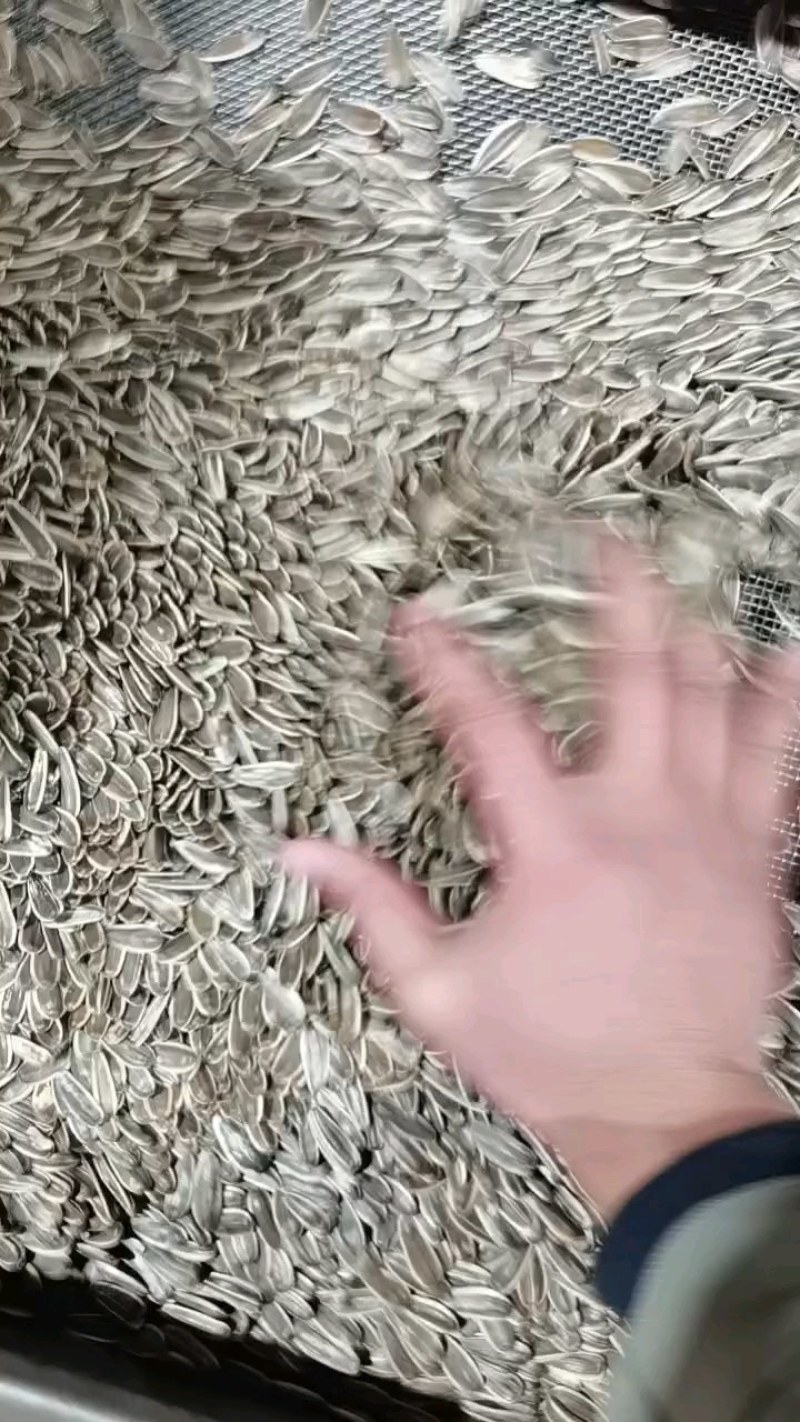 原味熟瓜子