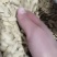 原味熟瓜子