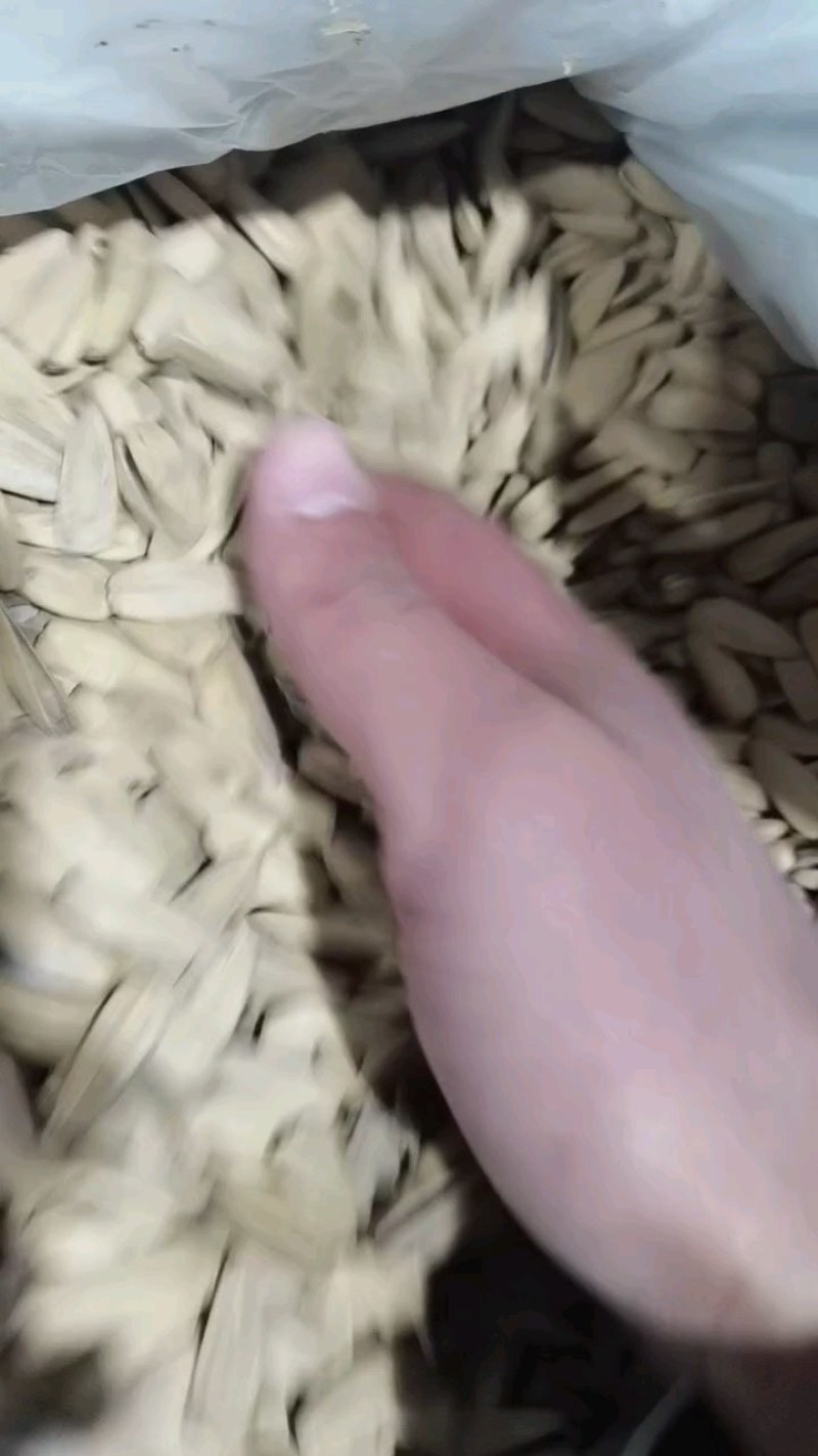原味熟瓜子