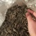 原味熟瓜子
