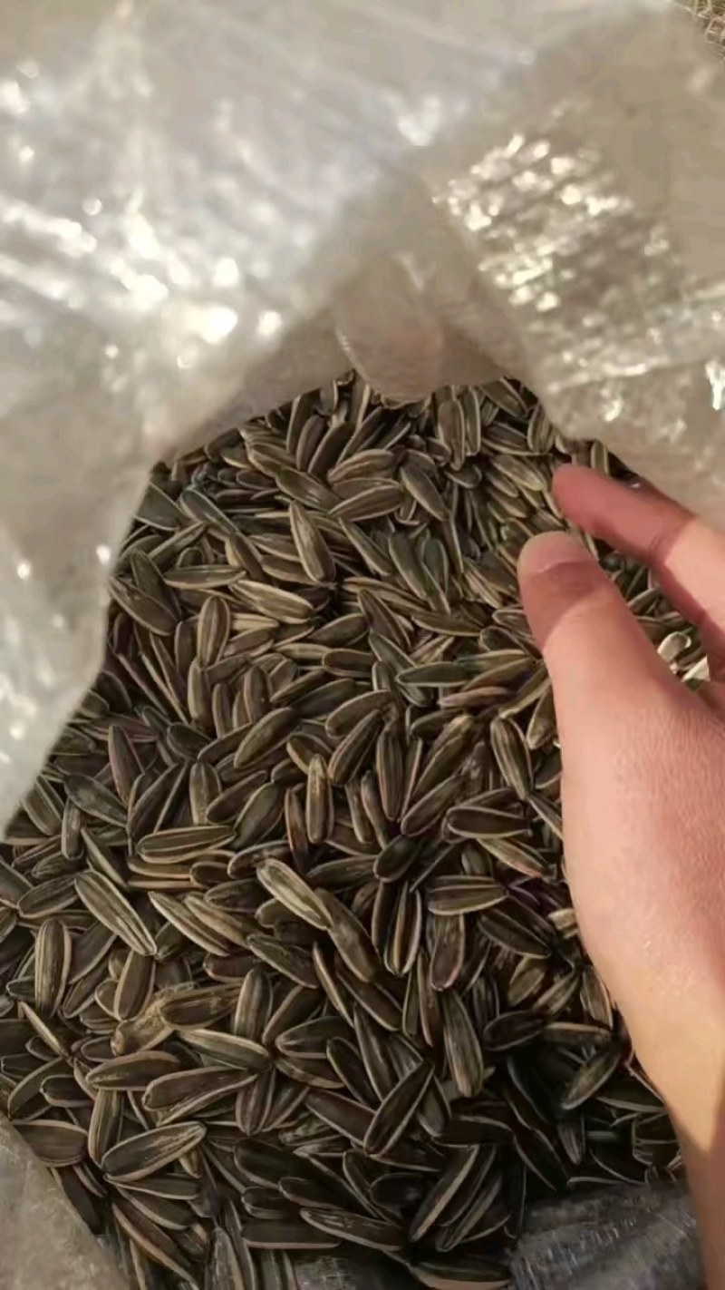 原味熟瓜子