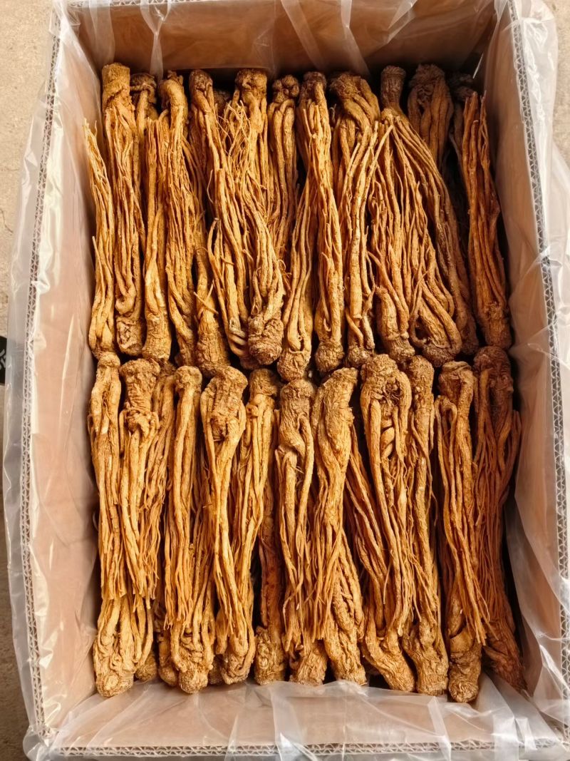 有硫水洗中货黄当归取尾搓毛净货批发