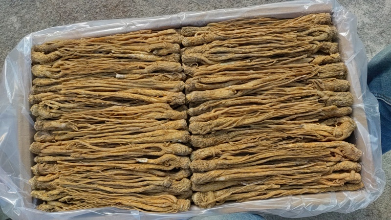 有硫水洗中货黄当归取尾搓毛净货批发