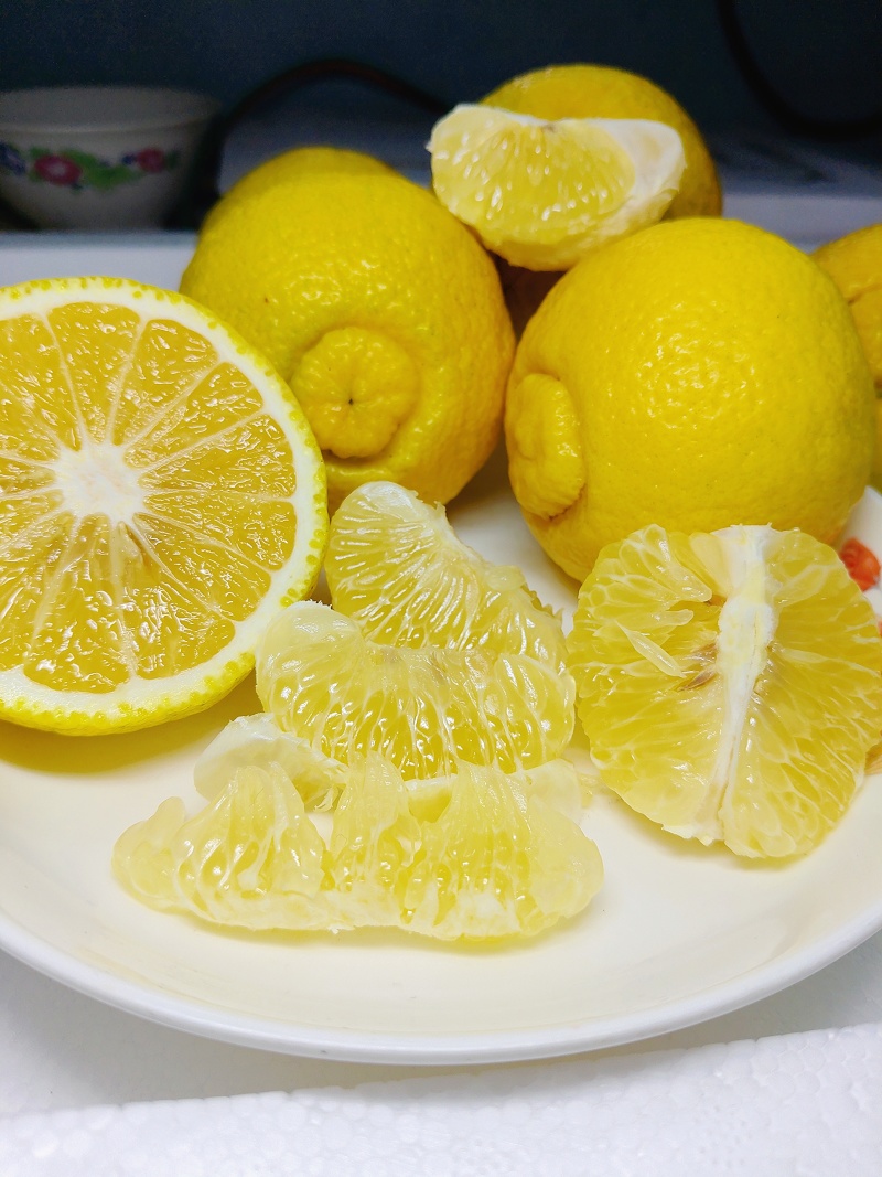 黄金贡柚
