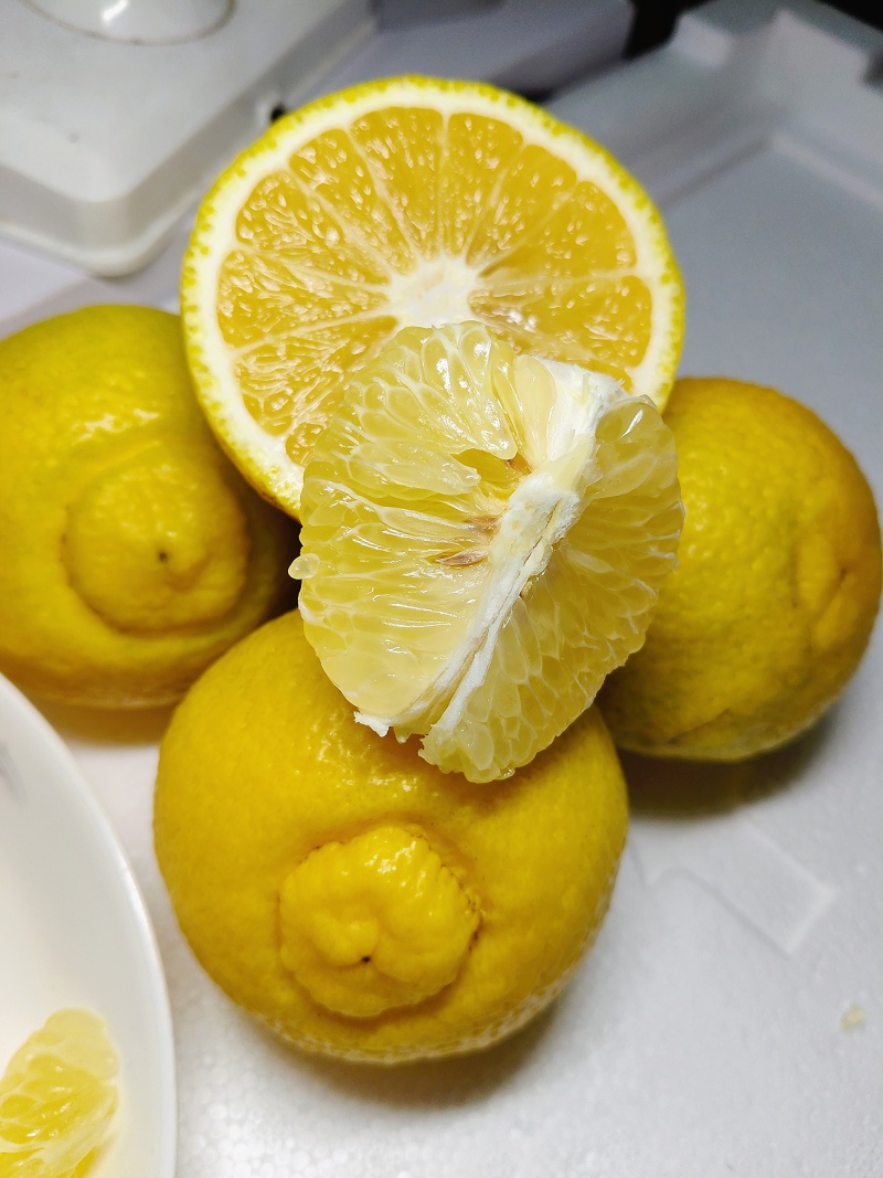 黄金贡柚