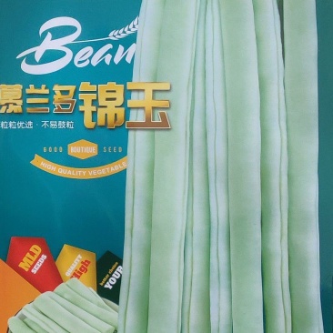 杜绝假货豆角种子架豆种子豆籽蔬菜种子白不老四季豆种子