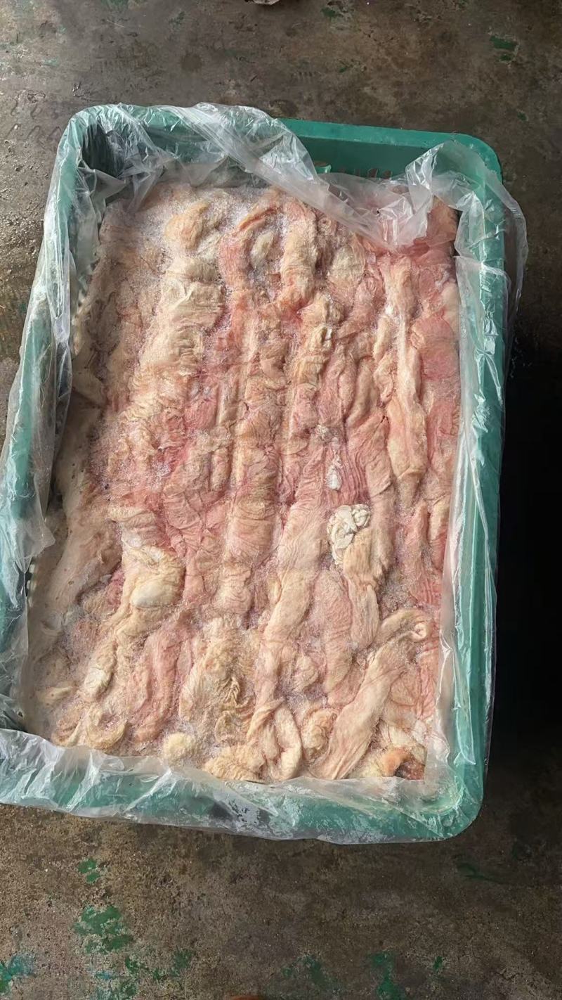 冻鲜大肠