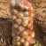 精品黄心土豆大量接单产地直发量大从优欢迎来电