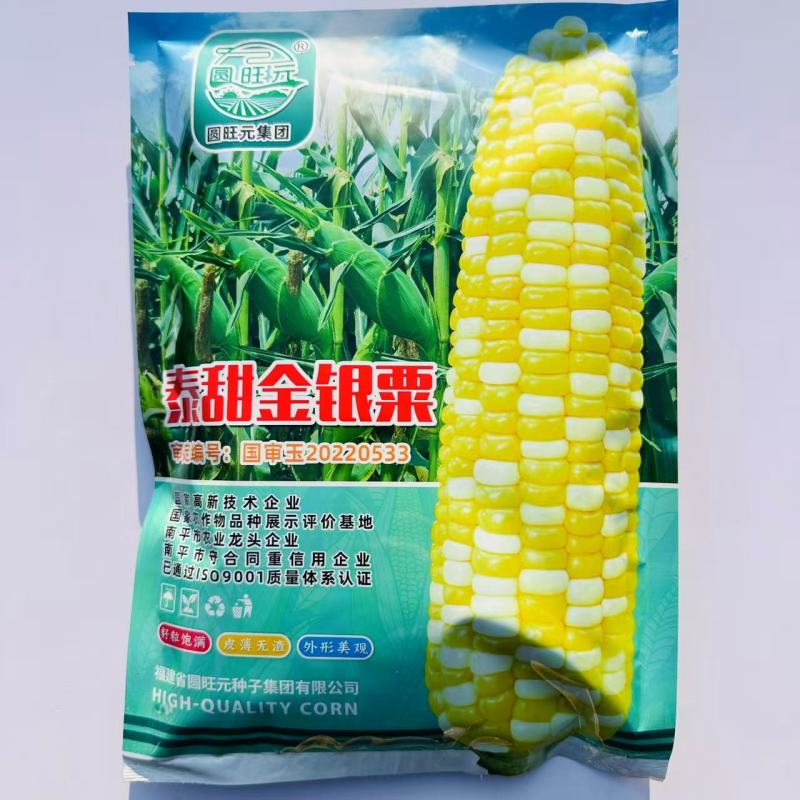 泰甜金银粟泰国玉米种水果玉米种籽高产大棒甜糯玉米种子