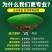 四季青草种子进口品质矮生翠绿柔软耐践踏全国发货