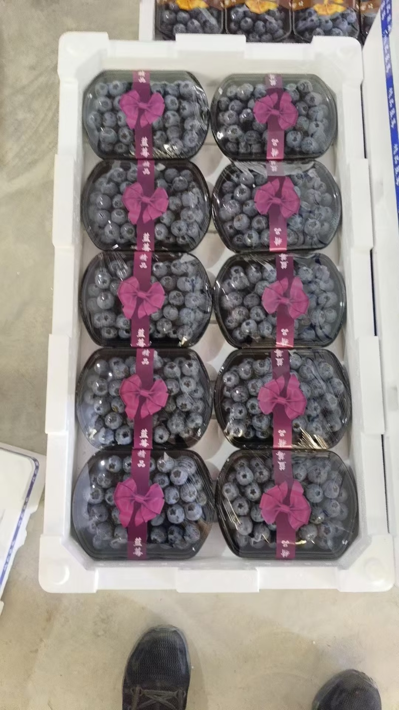 新鲜蓝莓优选大果产地现摘一级果支持批发