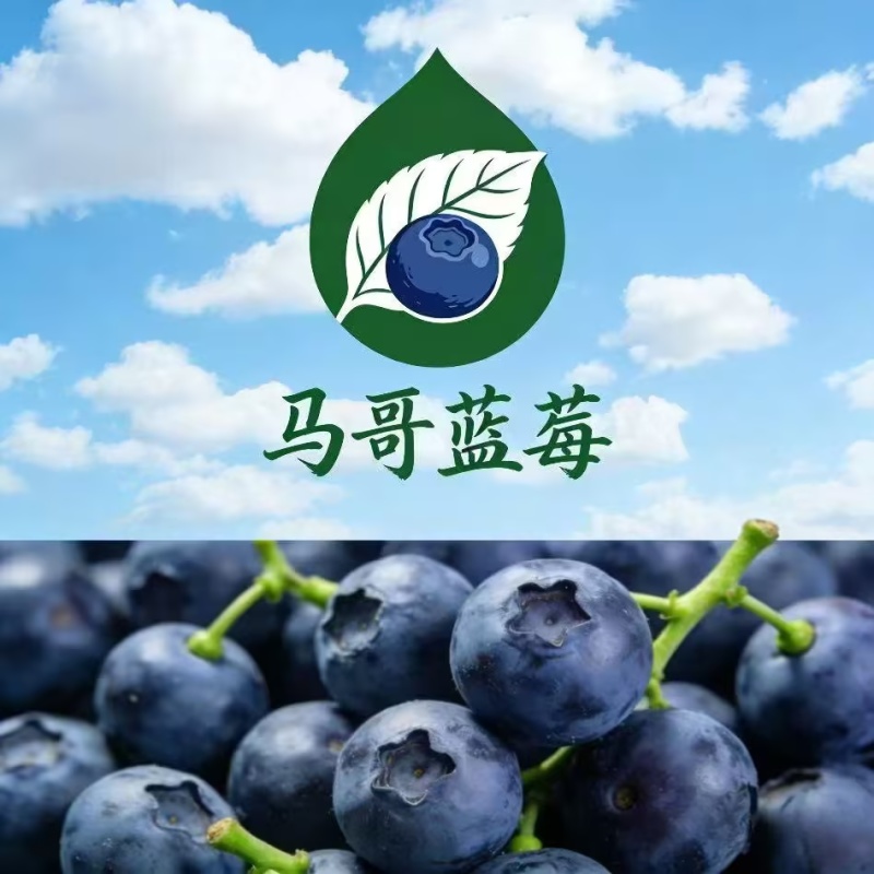 当季新鲜蓝莓优选大果产地直批支持量大