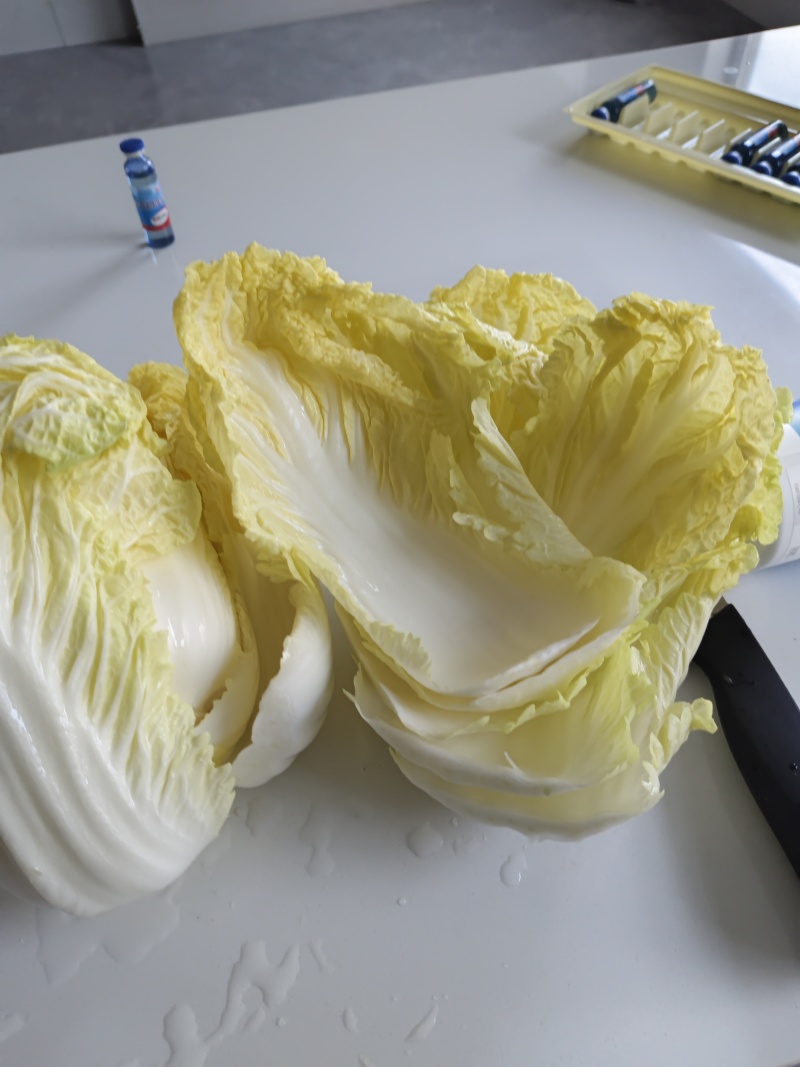 大娃娃菜