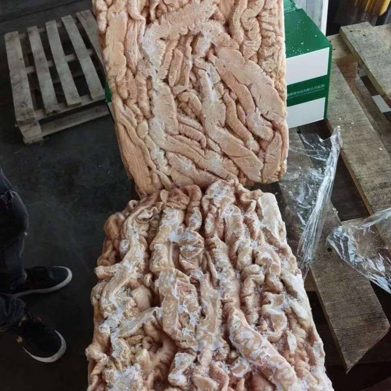 大肠