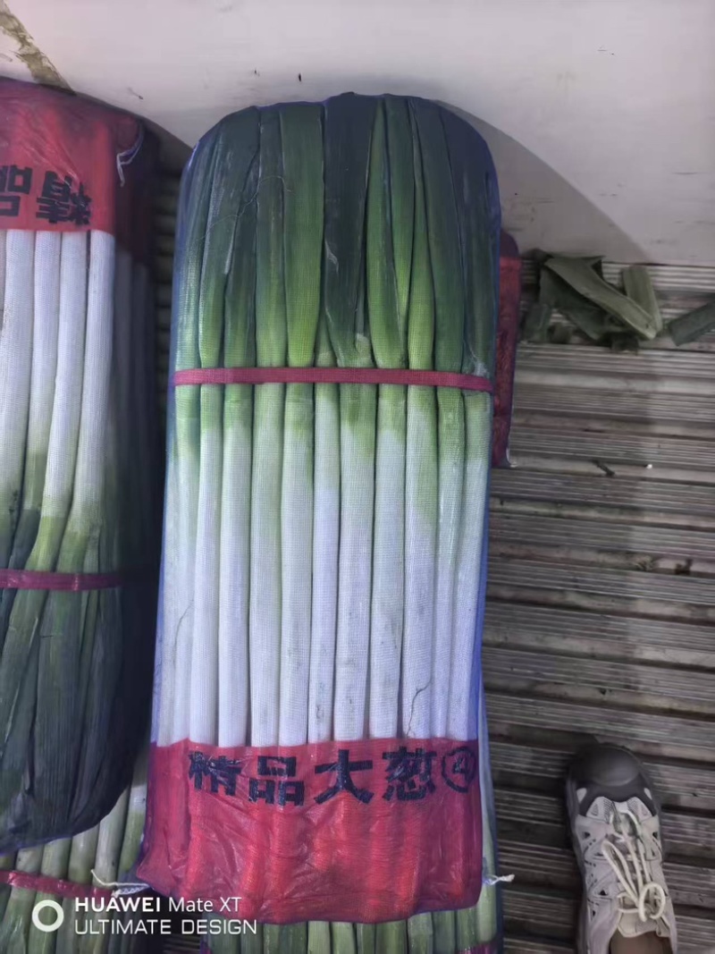 精品大葱电商市场各种规格诚信服务提供优质产品