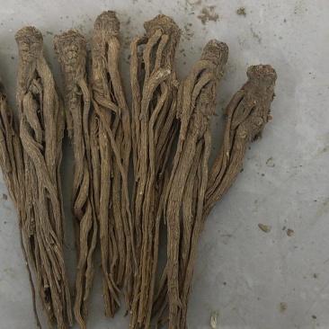 无硫当归中货，半成品批发零售。欢迎老板们咨询下单。
