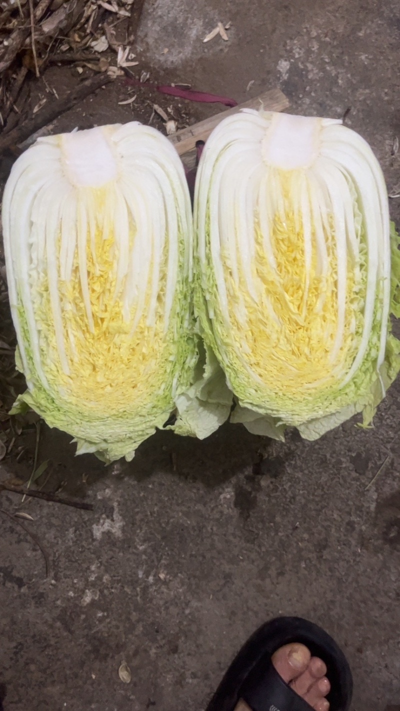 精品大白菜，货量充足，便宜的也有，欢迎咨询
