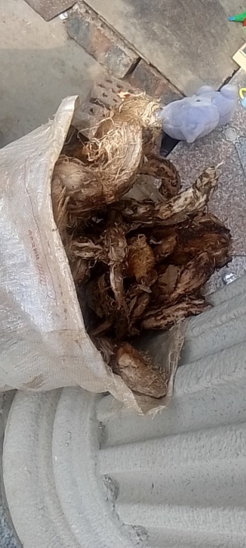 产地直发葛根保质保量规格齐全品质保障