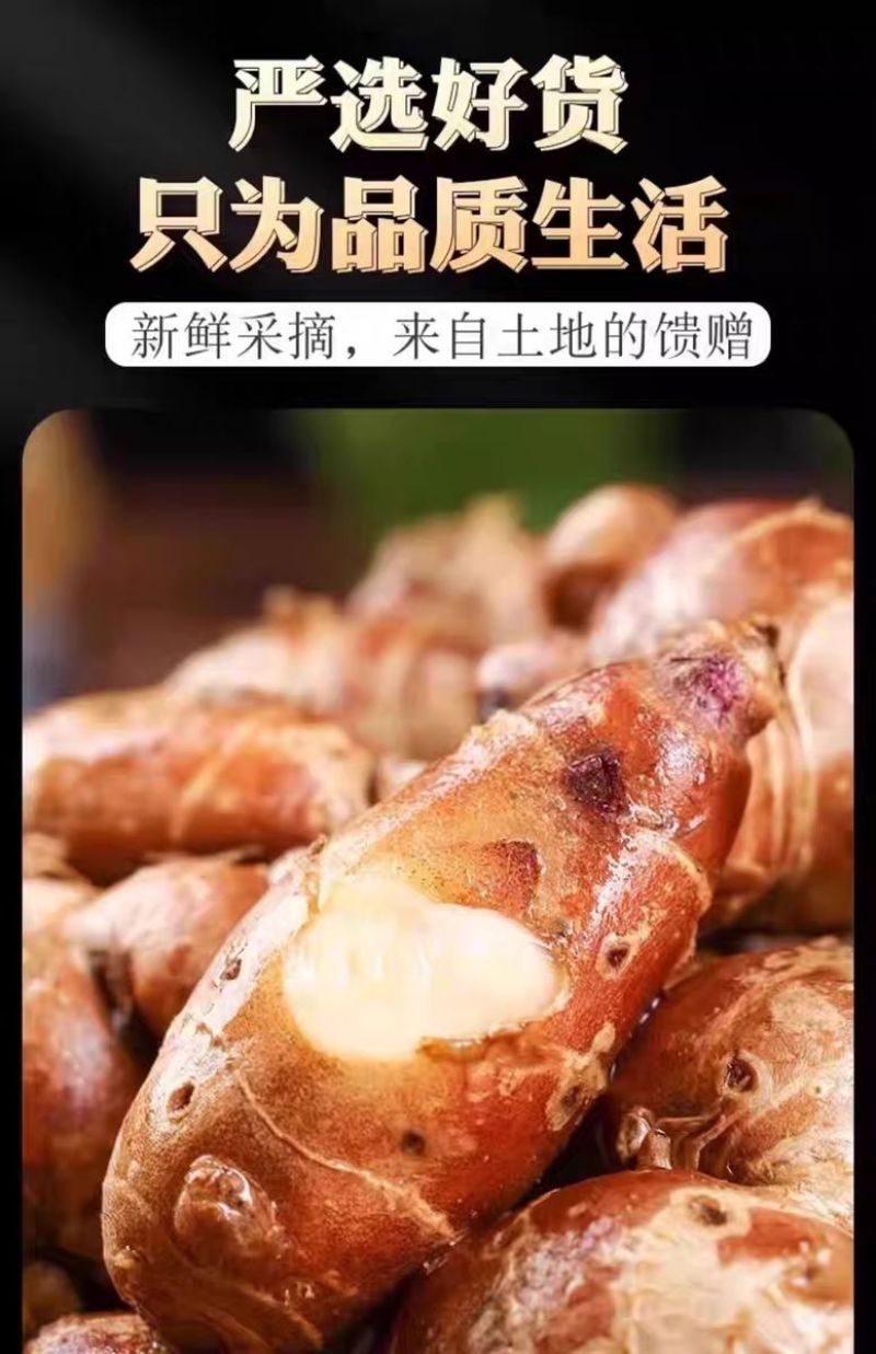 鲜沙姜带泥