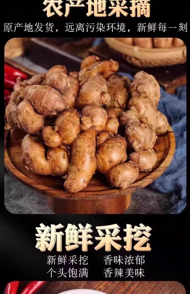 鲜沙姜带泥