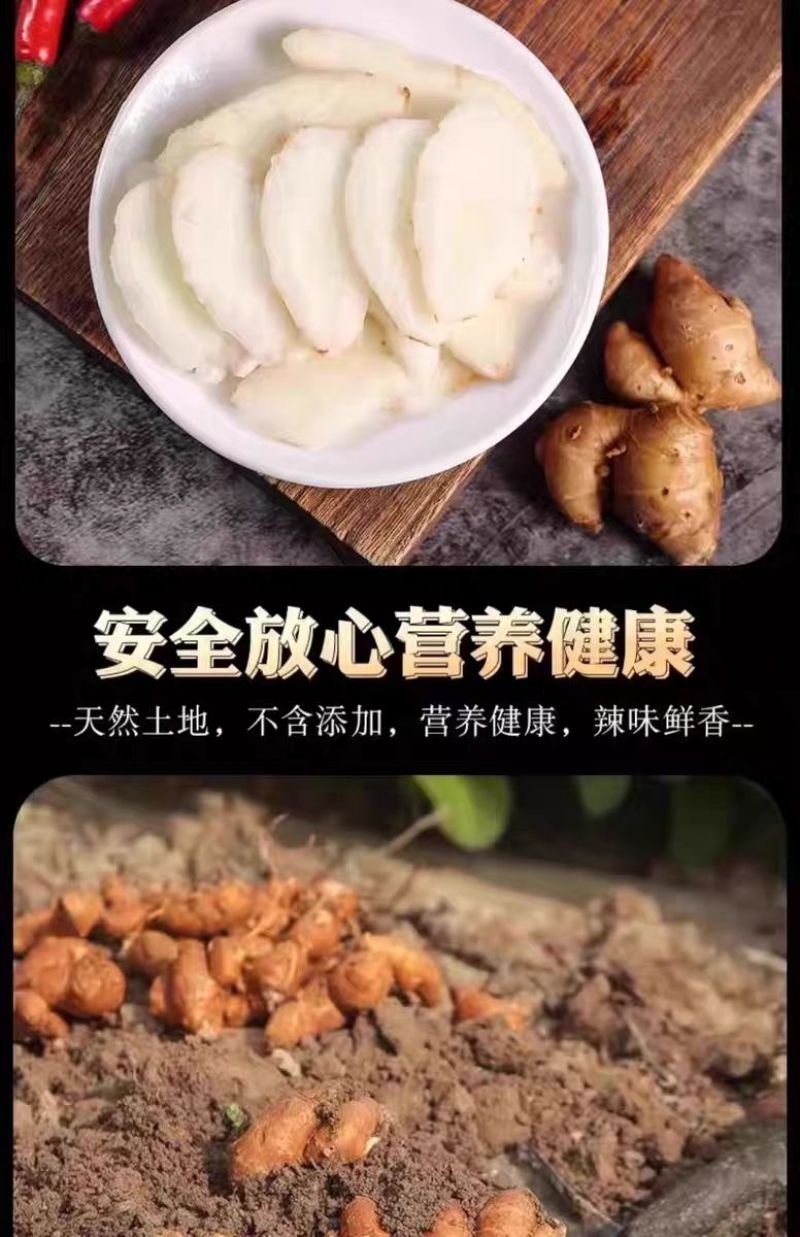 鲜沙姜带泥