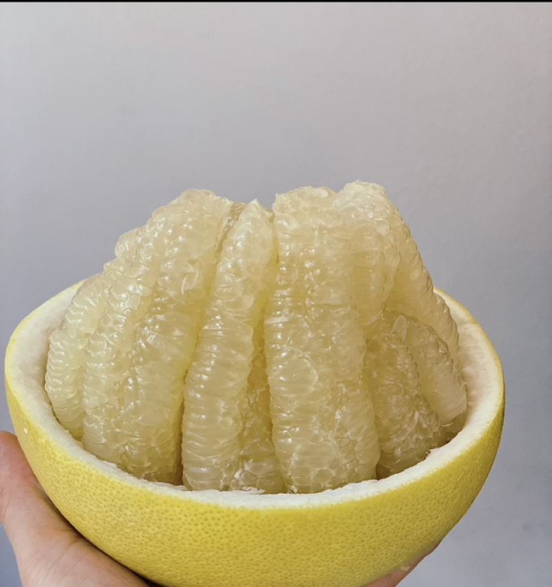 白柚贡水白柚湖北发货水分充足口感甜好吃不贵进店买