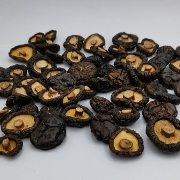 黑菇油面菇黑油面菇黒油面菇自然黑菇原产地干货批发