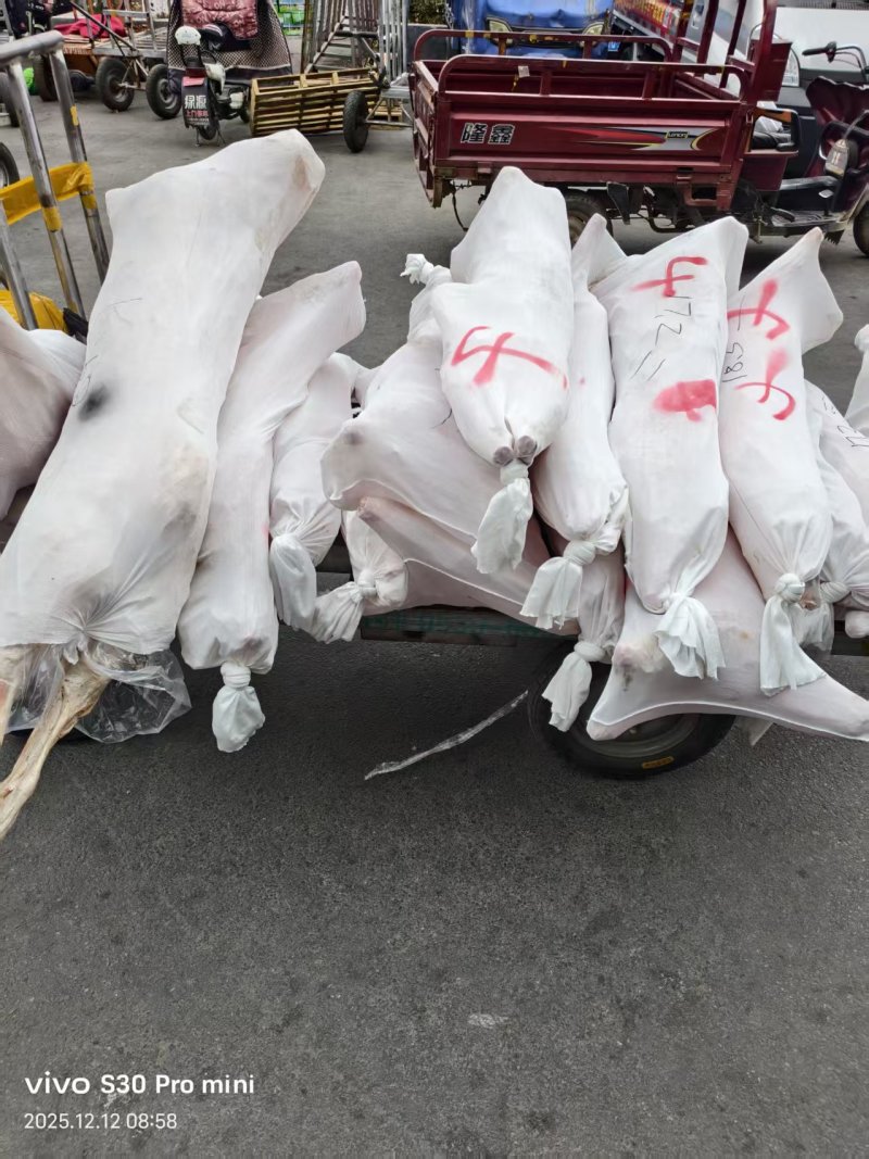 直条羊，烤全羊**，15-80斤大小可挑量大优惠，全国发