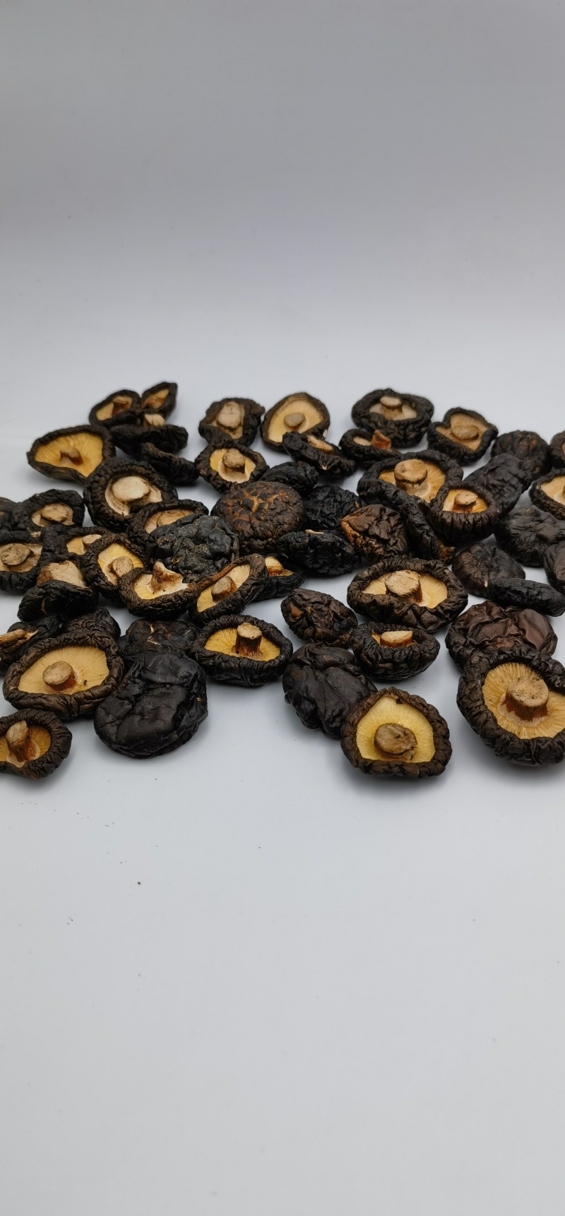 黑菇油面菇黑油面菇黒油面菇自然黑菇原产地干货批发