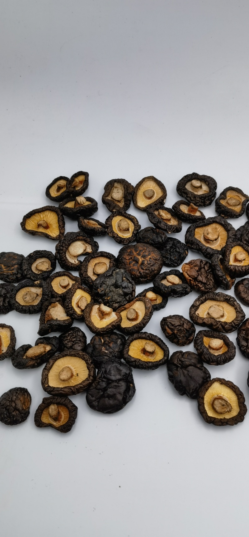 黑菇油面菇黑油面菇黒油面菇自然黑菇原产地干货批发