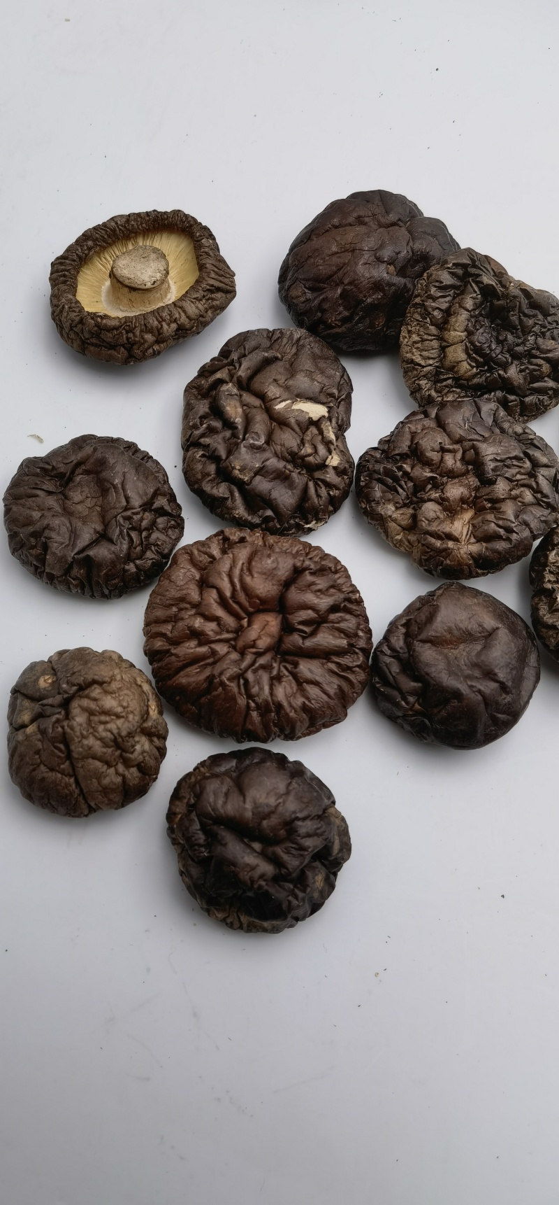 黑菇油面菇黑油面菇黒油面菇自然黑菇原产地干货批发