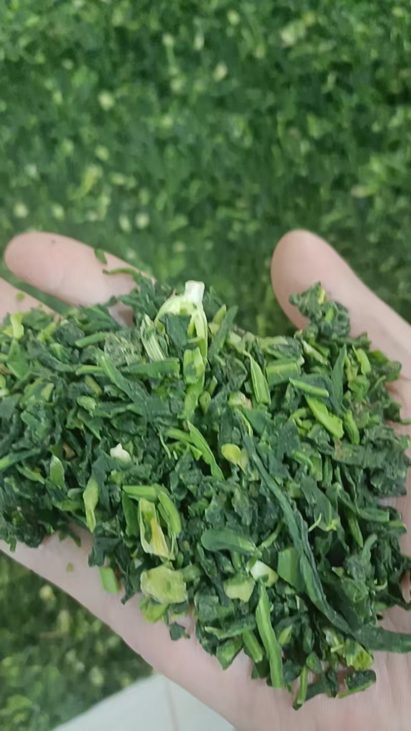 速冻荠菜馅大量有货，对接全国客商欢迎联系