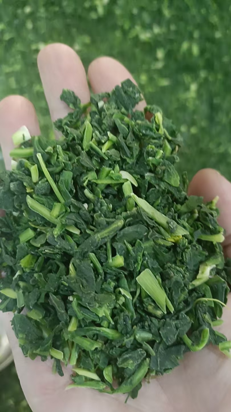 速冻荠菜馅大量有货，对接全国客商欢迎联系