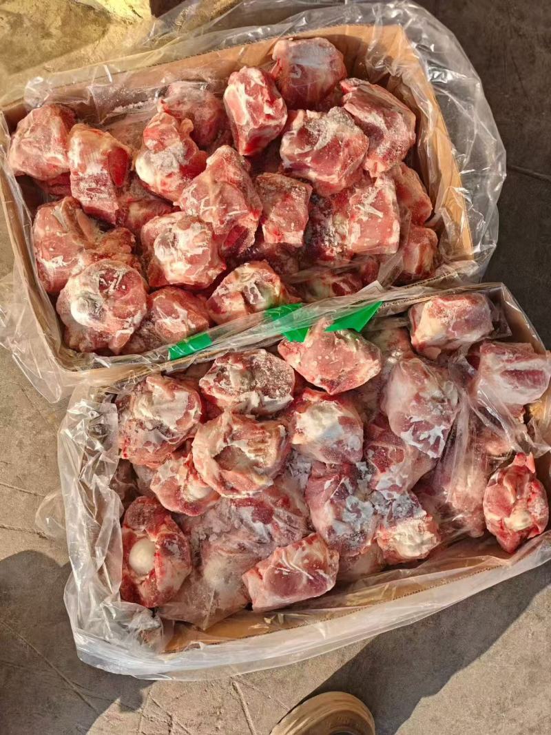 满肉猪圆骨