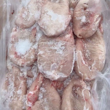 纯干猪小肚