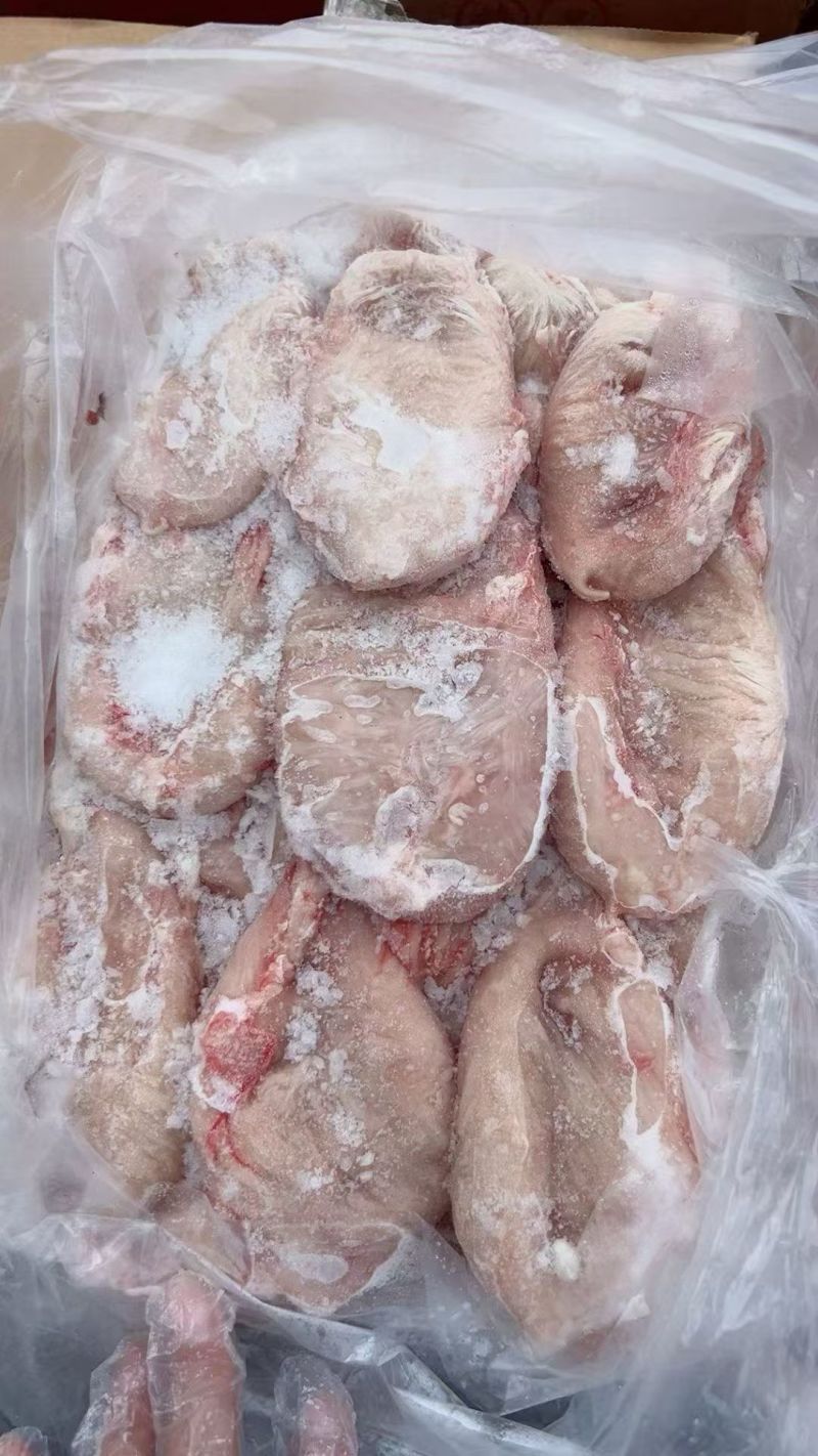 纯干猪小肚