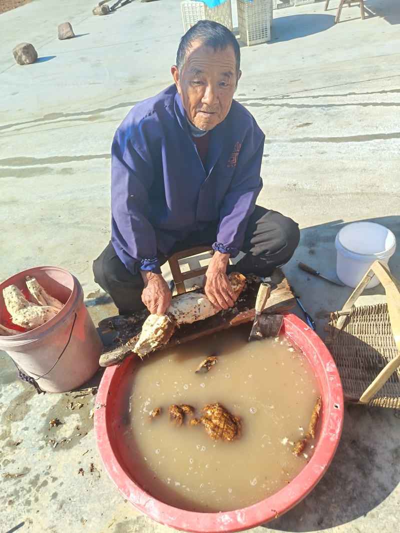 ***野生葛根粉