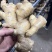昌邑大姜高中低规格都有