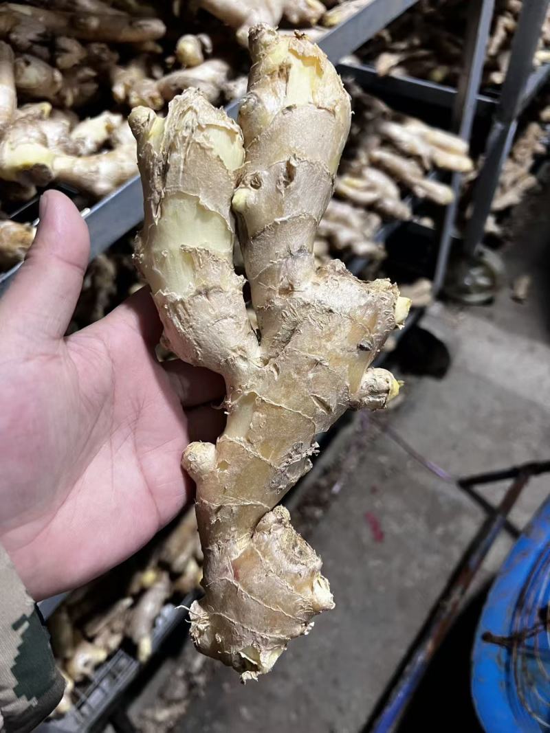 昌邑大姜高中低规格都有