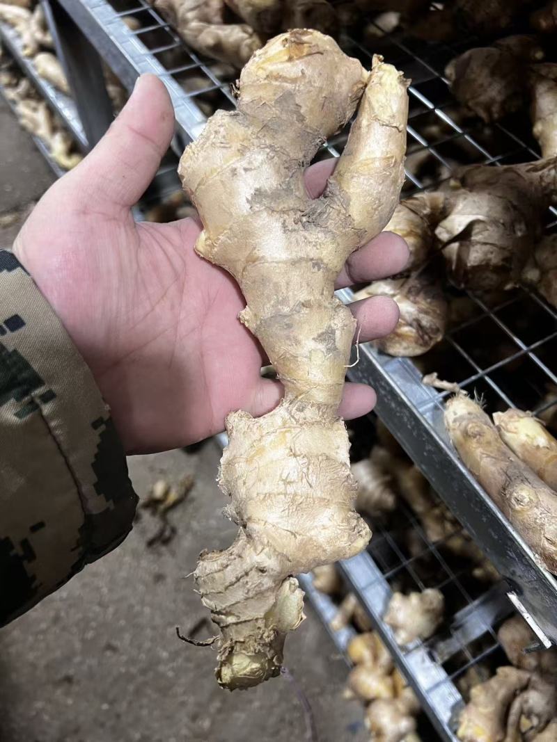 昌邑大姜高中低规格都有