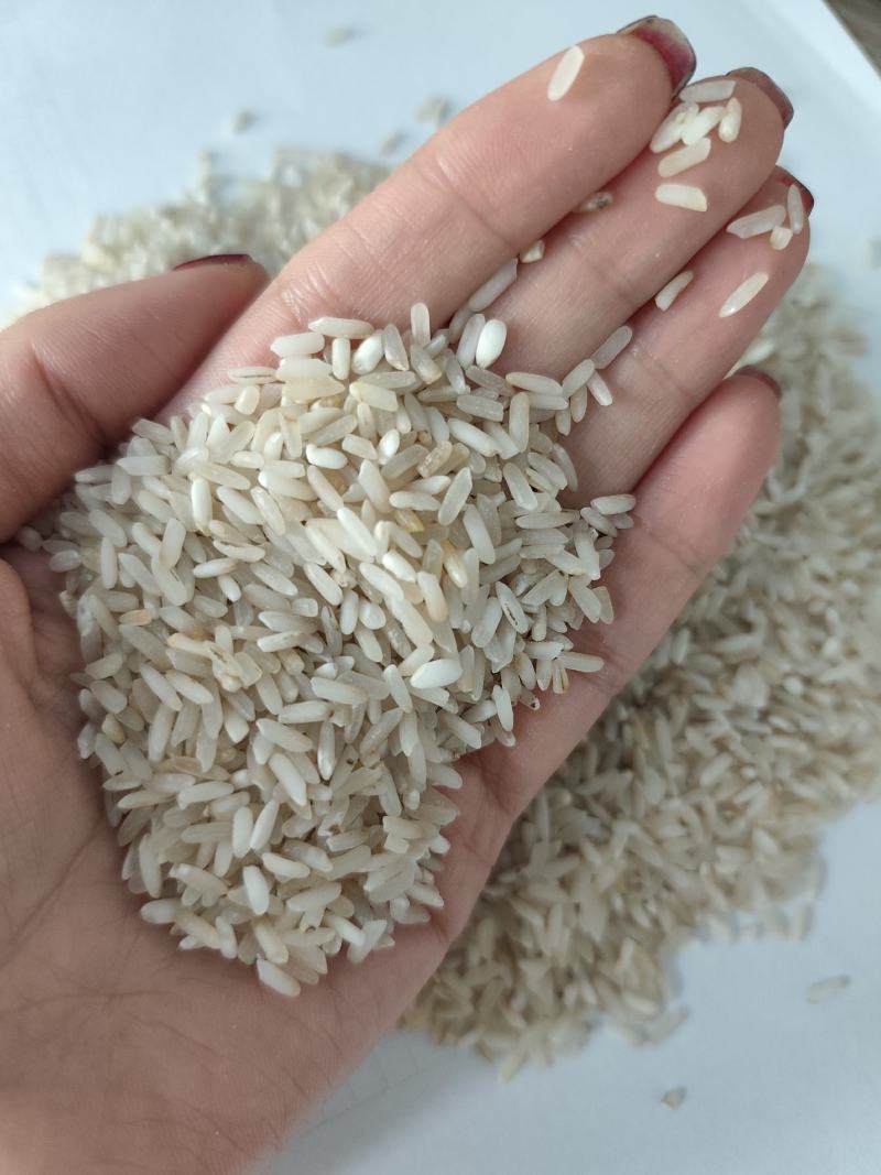 长期生产直销色选米干净新鲜稻谷加工，保质保量