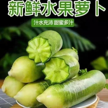 湖北青萝卜韩国青萝卜水果萝卜产地一手货源支持视频