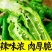辣椒螺丝椒苗大果螺丝种子高产香辣辣椒抗病蔬菜种子螺旋辣椒